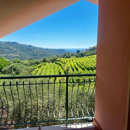 Agriturismo Ada Musso Ss Diano Borello Экстерьер фото
