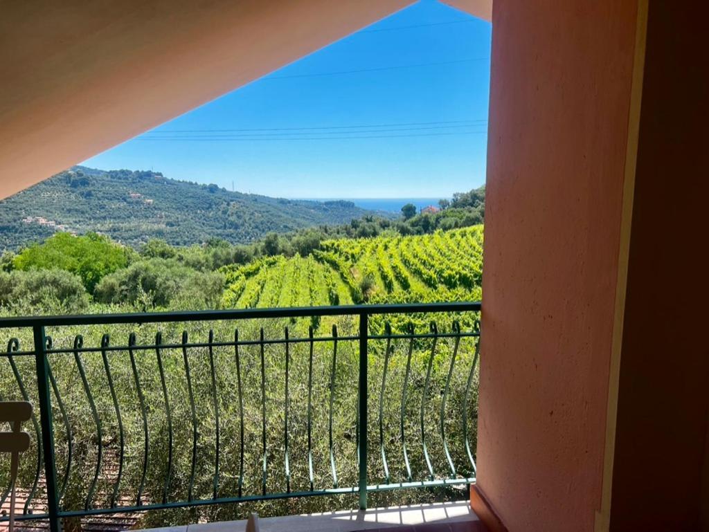 Agriturismo Ada Musso Ss Diano Borello Экстерьер фото