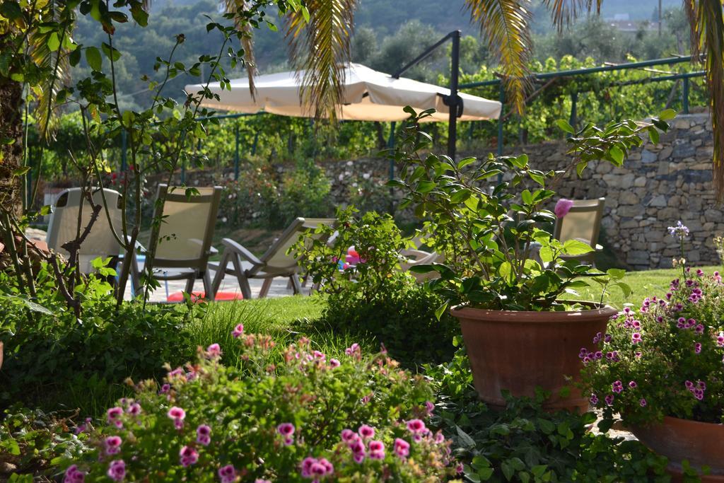 Agriturismo Ada Musso Ss Diano Borello Экстерьер фото