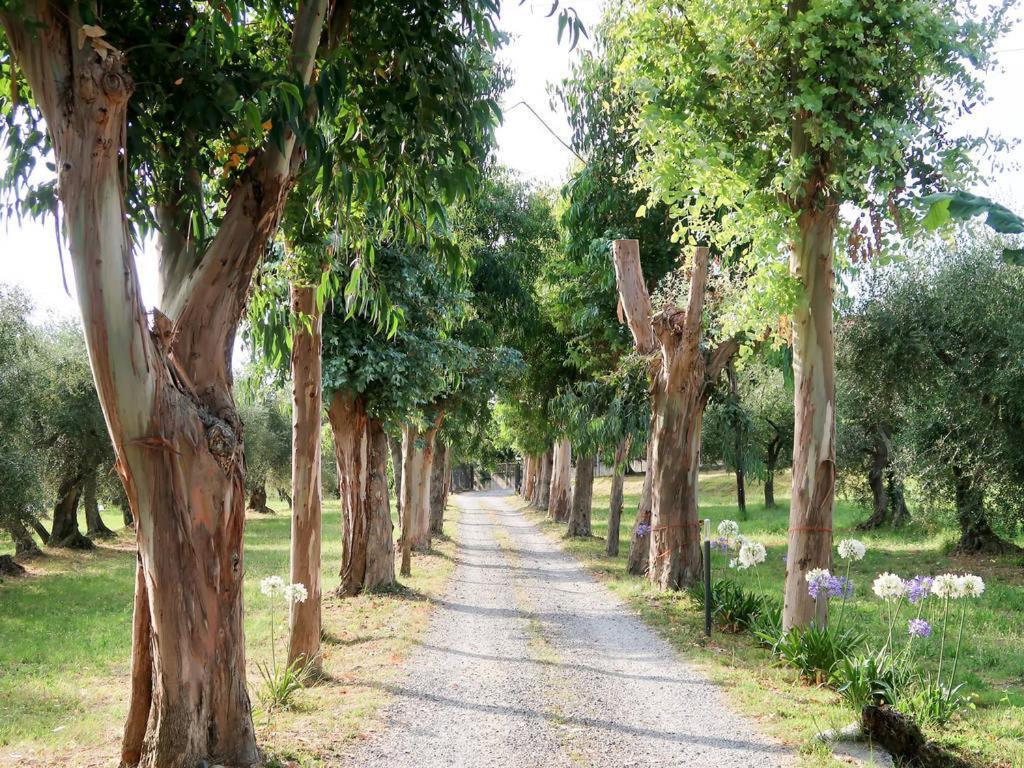 Agriturismo Ada Musso Ss Diano Borello Экстерьер фото