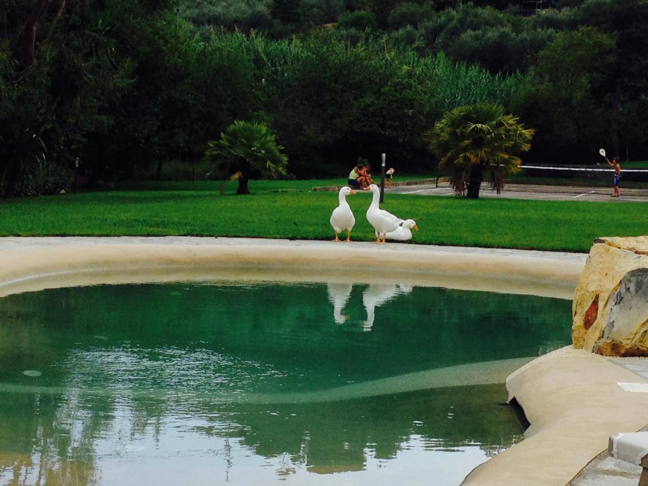 Agriturismo Ada Musso Ss Diano Borello Экстерьер фото